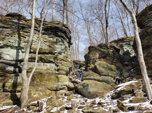 Rocky landscape with moss-covered boulders and bare trees, under a clear blue sky, with patches of snow on the ground.