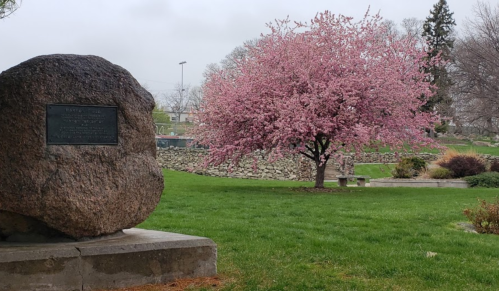 A large rock monument in a park with a blooming pink tree and a stone wall in the background on a cloudy day.