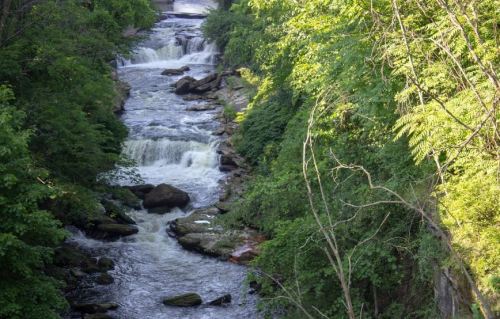 A serene river flows through lush greenery, with small waterfalls cascading over rocks in a tranquil natural setting.