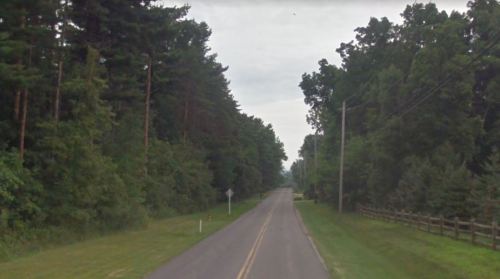A quiet, tree-lined road with a grassy shoulder and a wooden fence in the distance under a cloudy sky.