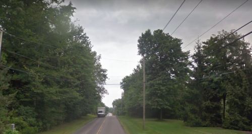 A rural road lined with trees, featuring a truck driving down the lane under a cloudy sky.