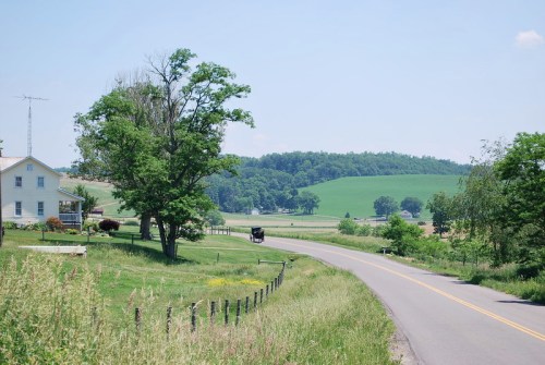 A scenic rural landscape featuring a winding road, green fields, a farmhouse, and a tree under a clear blue sky.
