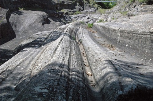 A rocky landscape with smooth, wavy formations and scattered leaves, surrounded by greenery.
