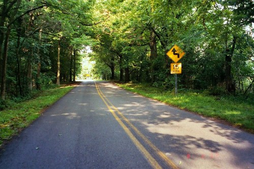 A winding road surrounded by lush green trees, with a caution sign indicating a 15 mph speed limit.