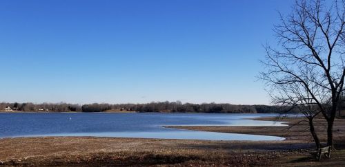 A serene lake under a clear blue sky, with a tree on the shore and a gentle curve of land along the water's edge.
