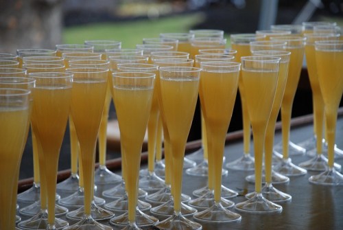A row of champagne flutes filled with yellow liquid, arranged neatly on a table.
