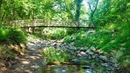 A wooden bridge spans a serene creek surrounded by lush greenery and rocky banks. Sunlight filters through the trees.