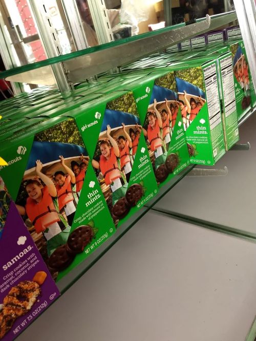 Girl Scout cookie boxes on a shelf, featuring Thin Mints and Samoas, with children in the background.