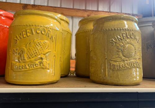 A collection of yellow ceramic jars labeled "Sweetcorn" and "Sunflower" from Terra Seed Co. on a shelf.