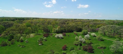 Aerial view of a lush green park with blooming trees and a clear blue sky, showcasing vibrant spring colors.