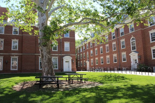 A sunny campus scene featuring a large tree, picnic tables, and brick buildings with windows and bike racks.