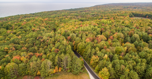 Aerial view of a winding road through a vibrant forest with autumn foliage and a lake in the background.