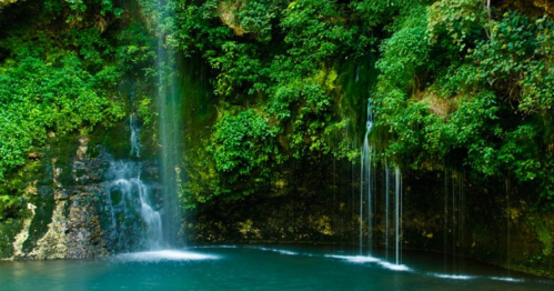 A serene waterfall cascading into a tranquil pool, surrounded by lush green foliage.