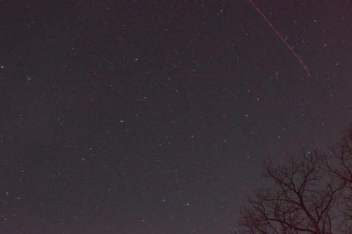 A night sky filled with stars, featuring a few bright points and a faint streak, with a silhouette of bare tree branches.