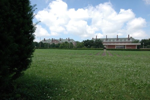 A green field with clover, featuring two large buildings in the background under a partly cloudy sky.