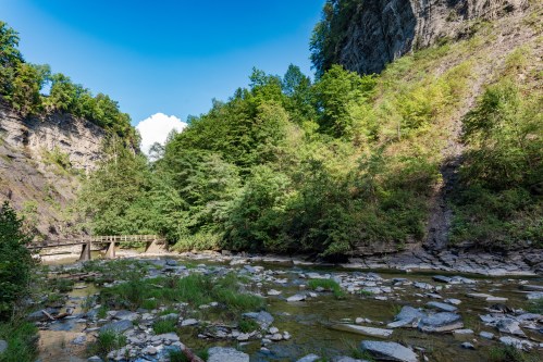 A serene river flows through a rocky canyon, surrounded by lush green trees under a clear blue sky.