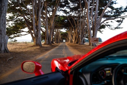 A scenic road lined with tall trees, viewed from the driver's seat of a red car.