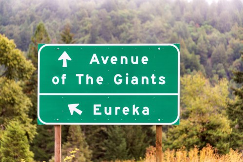 Green road sign directing to "Avenue of The Giants" and "Eureka," surrounded by trees and misty mountains.