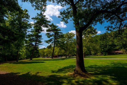 A serene park scene with tall trees, lush green grass, and a blue sky dotted with clouds.