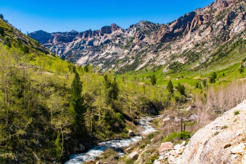 A scenic view of a river winding through a lush green valley, surrounded by rocky mountains under a clear blue sky.