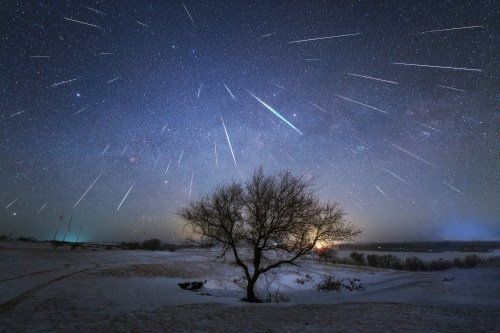 A starry night sky filled with meteor trails above a snowy landscape and a solitary tree.