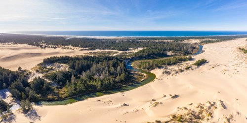 Aerial view of a winding river surrounded by lush trees, flowing through sandy dunes and leading to the ocean.