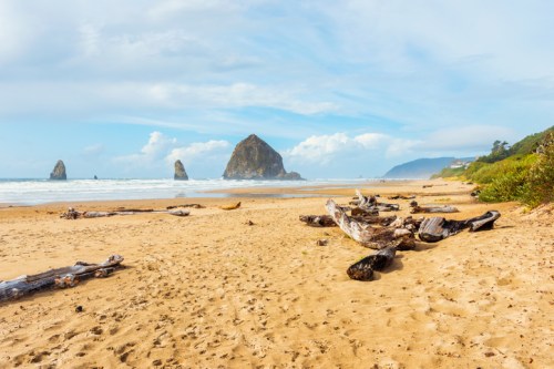 A sandy beach with driftwood, ocean waves, and rocky formations under a blue sky with scattered clouds.