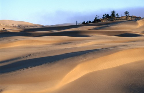 A serene desert landscape with rolling sand dunes and a distant cluster of trees on a small hill.