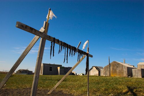 A wooden frame with drying seaweed and flags, set against a clear blue sky and rustic buildings in the background.