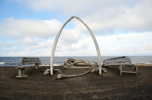 A large whale skeleton archway on a beach, with benches and ocean in the background under a cloudy sky.