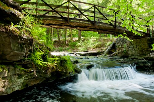 A wooden bridge spans a serene stream, surrounded by lush greenery and flowing water over rocky terrain.