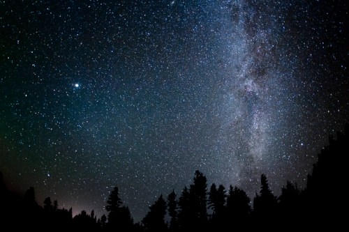 A starry night sky filled with stars and the Milky Way, silhouetted by dark tree outlines at the bottom.