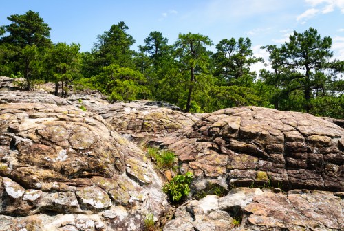 Rocky terrain with textured boulders and lush green trees under a clear blue sky.