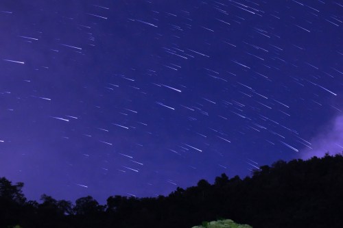 A night sky with streaks of stars against a deep purple backdrop, silhouetted by dark tree outlines below.