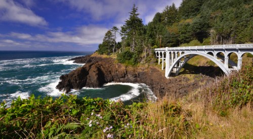 A scenic view of a white bridge over rocky coastline, with waves crashing and lush greenery in the foreground.