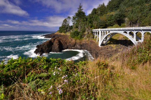 A scenic coastal view featuring a white bridge over rocky cliffs and waves, surrounded by lush greenery and blue skies.