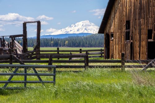 A rustic barn and wooden fence in a green field, with a snow-capped mountain in the background under a blue sky.