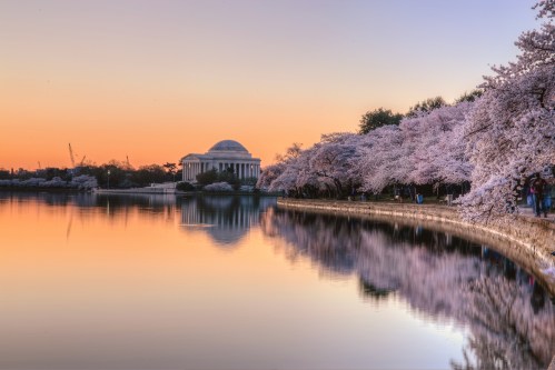 Cherry blossoms reflect in calm water at sunset, with the Jefferson Memorial in the background.