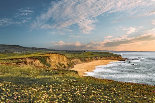 A scenic coastal view with cliffs, a sandy beach, and colorful wildflowers under a cloudy sky at sunset.