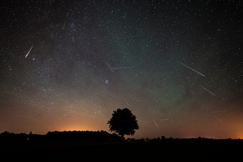 A starry night sky filled with shooting stars, silhouetted by a lone tree against a faint glow on the horizon.
