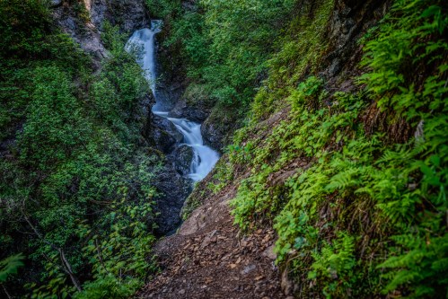 A serene waterfall cascades down rocky terrain, surrounded by lush green foliage and vibrant ferns.