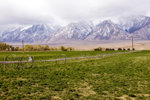 A green field with irrigation equipment stretches towards snow-capped mountains under a cloudy sky.