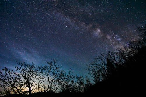 A starry night sky with the Milky Way visible, framed by silhouetted trees against a dark backdrop.