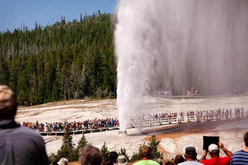 A crowd watches as a geyser erupts in a national park, surrounded by trees and a clear blue sky.
