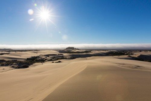 A sunlit desert landscape with rolling sand dunes and a distant forest under a clear blue sky.