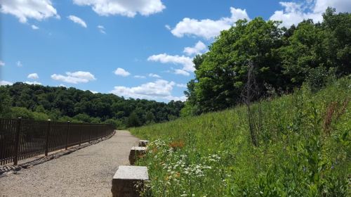 A scenic path lined with wildflowers, leading through lush greenery under a bright blue sky with fluffy clouds.