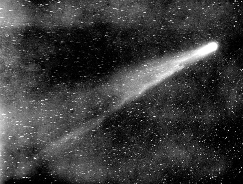 A black and white image of a comet streaking through a starry sky, with a bright tail and scattered stars.