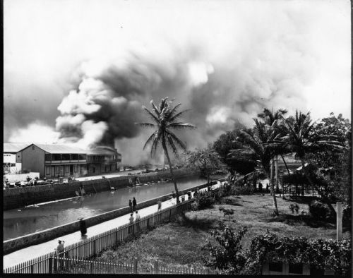 Black and white image of a smoky scene near a canal, with palm trees and people walking along a path.