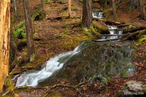 A serene forest scene featuring a flowing stream cascading over rocks, surrounded by trees and moss.