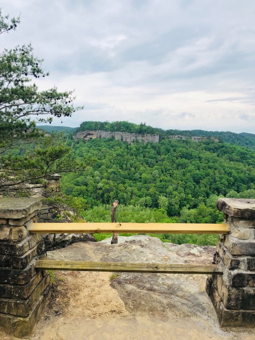 A scenic view from a rocky overlook, featuring lush green trees and distant cliffs under a cloudy sky.